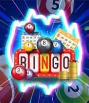 บิงโก bingo