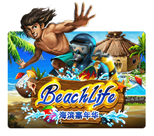 เกม Beach Life